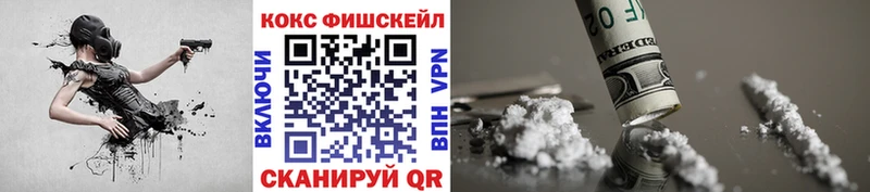 Cocaine FishScale  где можно купить   Городище 