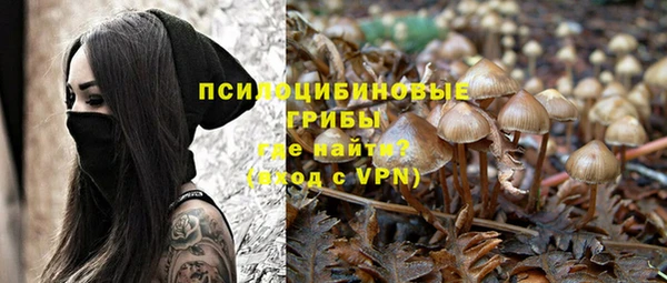 гашик Новодвинск