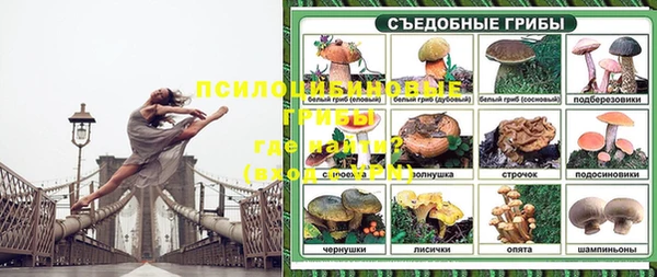 мяу мяу мука Балахна