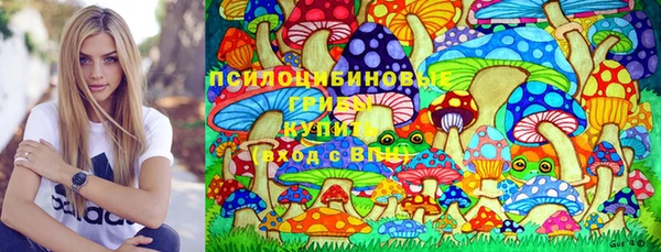 PSILOCYBIN Баксан