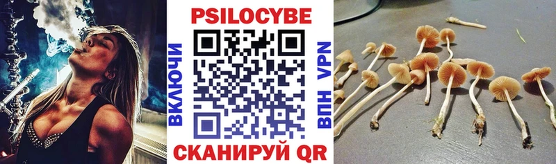 Псилоцибиновые грибы Cubensis  цена наркотик  Городище 
